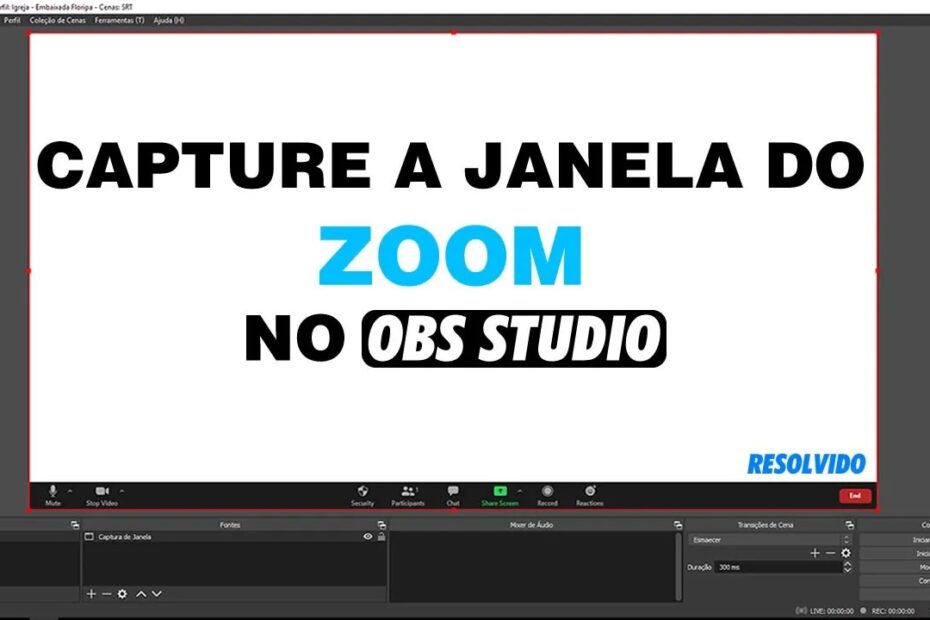 capturando janela do zoom